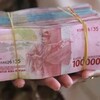 Peluru Karet | Cacing Gelang banner