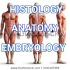 Anatomy and physiology banner