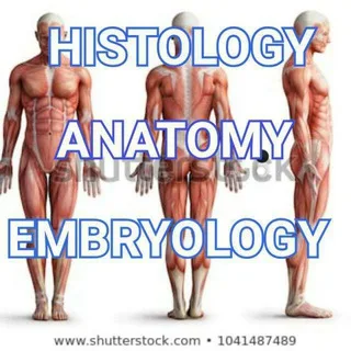 Anatomy and physiology banner