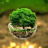 Nature & Landscape World banner