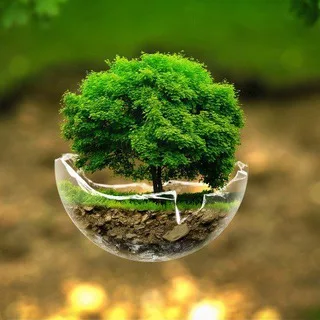 Nature & Landscape World banner