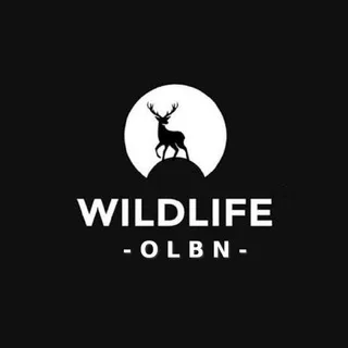 Wildlife OLBN ™ 🐘 Animals 🦧 Plants 🌳 Insects 🪰 Forest 🦬 Photography 📸 Nature 🦅 Earth 🦀 Sea 🐠 Videos 🎥 banner