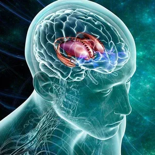 [PSYCHOLOGY 🧠 FACTS] #मनोवैज्ञानिक_तथ्य 🧠🧠🧠 banner