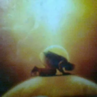 Arif Azad banner