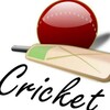 Cricket 11 News banner