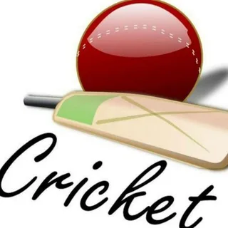 Cricket 11 News banner