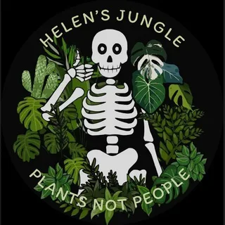 🪴 Helen's Jungle 🪴 | Будячечная banner