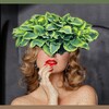 Хосты. Все о хостах. Купить. Резник Катерина🌿 banner