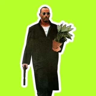 Телохранитель фикуса banner
