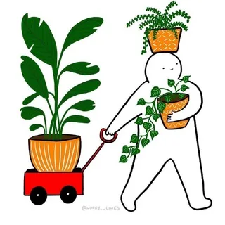 Master_Plant banner