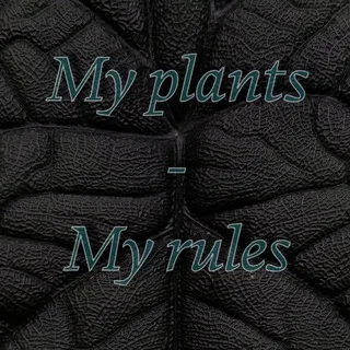 My plants - My rules banner