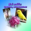 🌸🐥👗Хобби- Цветы, шитье, животные banner