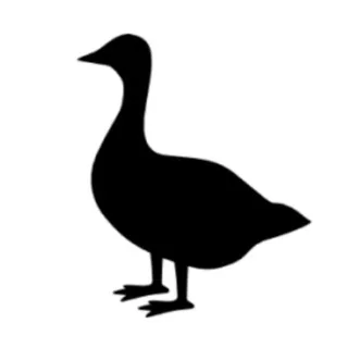 Гусь в Берлине banner
