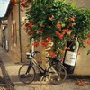 Travelclever banner
