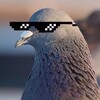 Я эмигрант простой banner