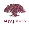 Толдот — мудрость дня banner