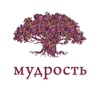 Толдот — мудрость дня banner