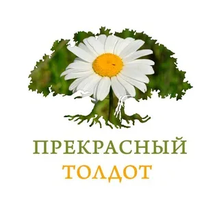 Прекрасный Толдот banner