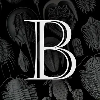 BAKTYGALIYEV BLOG banner
