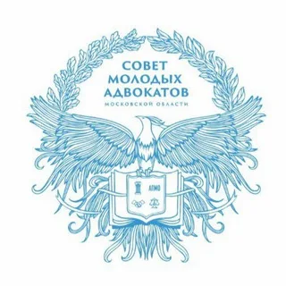 Молодежная адвокатура Подмосковья banner