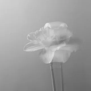 Обонятельные люди ✨ banner