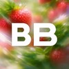 ВкусВилл banner