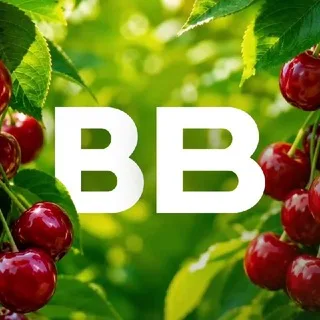 ВкусВилл banner