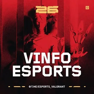 VALORANT ESPORTS | VINFO banner
