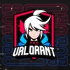 PRO VALORANT banner