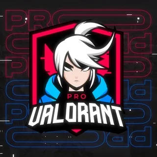 PRO VALORANT banner