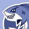 Агентские аккаунты SHARK AGENCY banner