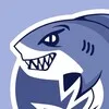 Агентские аккаунты SHARK AGENCY banner
