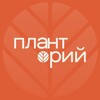 Планто́рий banner