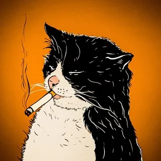 шерстяные проказники • коты banner