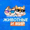 Мир и Животные banner