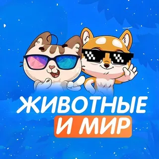Мир и Животные banner