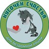 Кусочек счастья для бездомной кошки banner