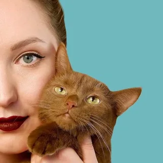CatTalk зоопсихолог banner