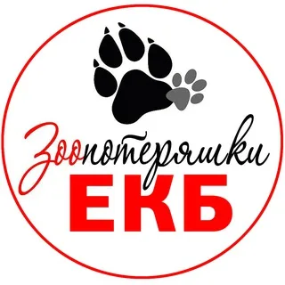 Зоо потеряшки Екатеринбург и СО banner