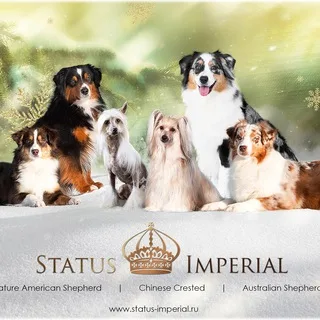 Питомник Status Imperial banner