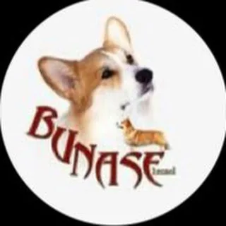 Питомник BUNASE🐶 banner