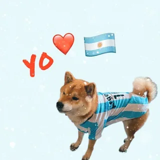 re.argentino banner