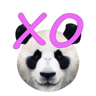 China XOXO banner