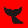 КИТ banner
