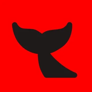 КИТ banner