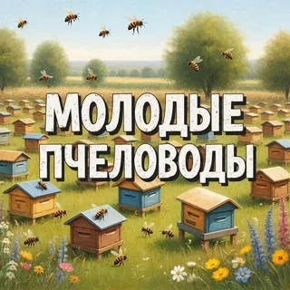 Молодые пчеловоды🐝 banner