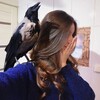 Julia Ornitolog | Лечение птиц banner