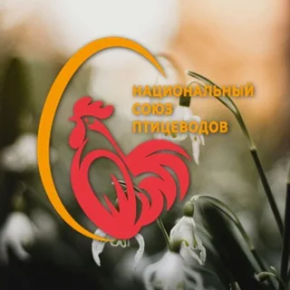 Национальный союз птицеводов banner