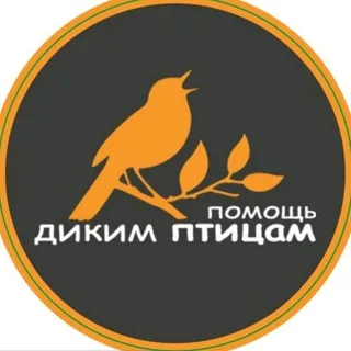 birdhelp banner