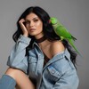 Эльвира 👸🏻 и Попугай Ричи 🦜 banner